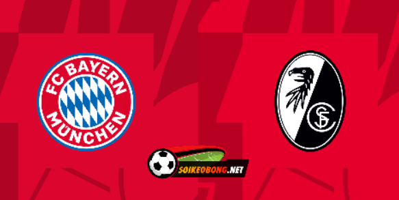 Soi kèo trực tuyến 7M trận Bayern Munich vs Freiburg –  01h45 ngày 05/04/2023: Trở lại mạnh mẽ