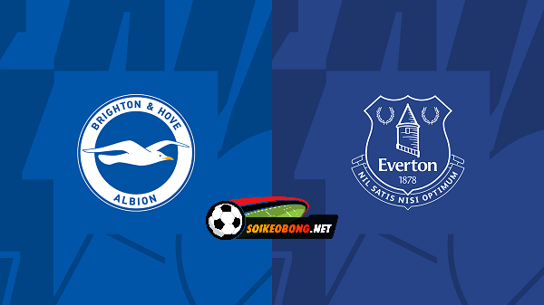 Soi kèo trực tuyến 7M trận Brighton vs Everton –  22h00 24/02/2024: Tiếp đà vùng lên.