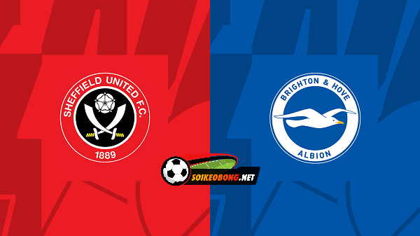 Soi kèo trực tuyến 7M trận Sheffield United vs Brighton –  21h00 18/02/2024: Tập trung vượt khó.