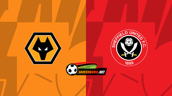 Soi kèo trực tuyến 7M trận Wolves vs Sheffield United –  20h30 25/02/2024: Tiếp tục bứt phá.