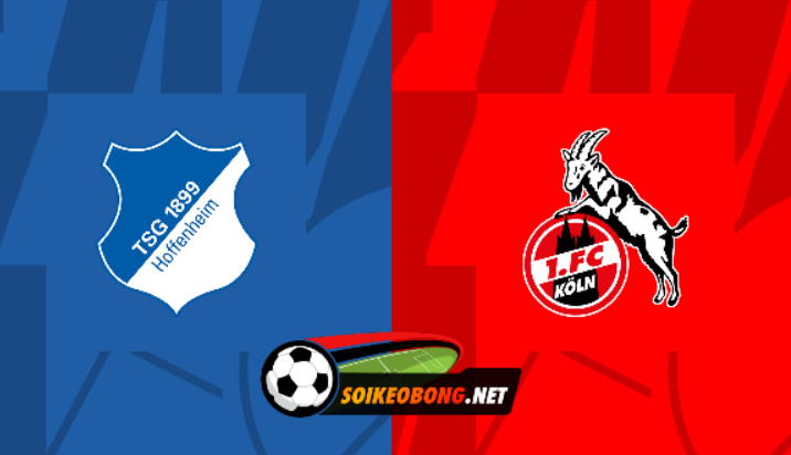 Soi kèo trực tuyến 7M trận Hoffenheim vs FC Koln –  23h30 ngày 11/02/2024: Thắng lợi trở lại