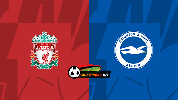 Soi kèo trực tuyến 7M trận Liverpool vs Brighton –  20h00 31/03/2024: Tận dụng mạnh mẽ.
