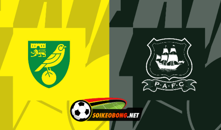 Soi kèo trực tuyến 7M trận Norwich vs Plymouth –  22h00 ngày 29/03/2024: Tiếp đà thăng hoa