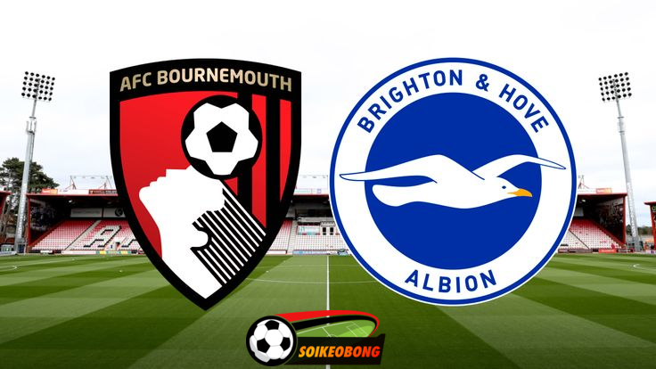 Soi kèo trực tuyến 7M trận Bournemouth vs Brighton-  20h00 28/04/2024: Khách gặp khó