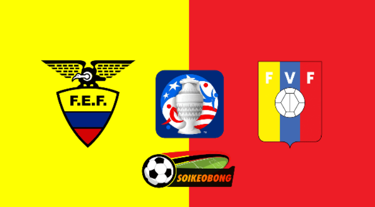 Soi kèo trực tuyến 7M trận Ecuador vs Venezuela –  05h00 ngày 23/06/2024: Cách biệt vừa đủ