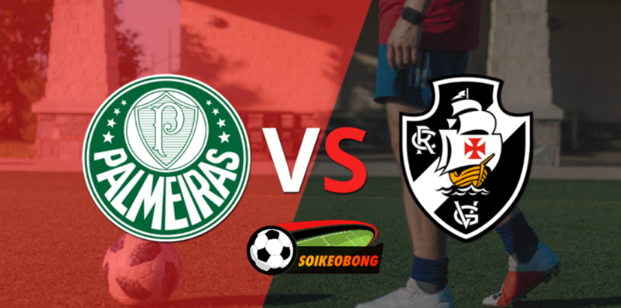 Soi kèo trực tuyến 7M trận Palmeiras SP vs Vasco DG –  07h30 ngày 14/06/2024: Sức mạnh nhà vua