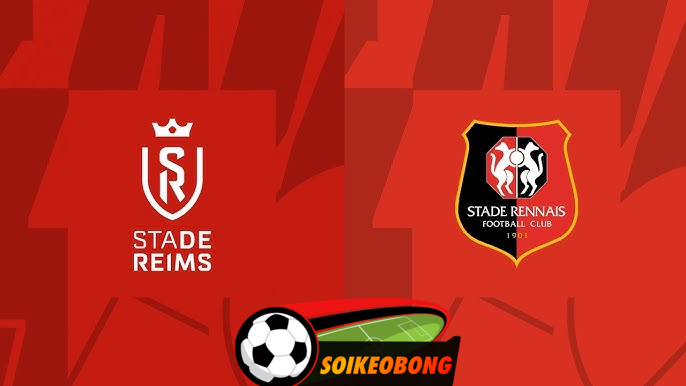 Soi kèo trực tuyến 7M trận Stade Reims vs Rennes-  22h00 01/09/2024: Ưu thế sân nhà