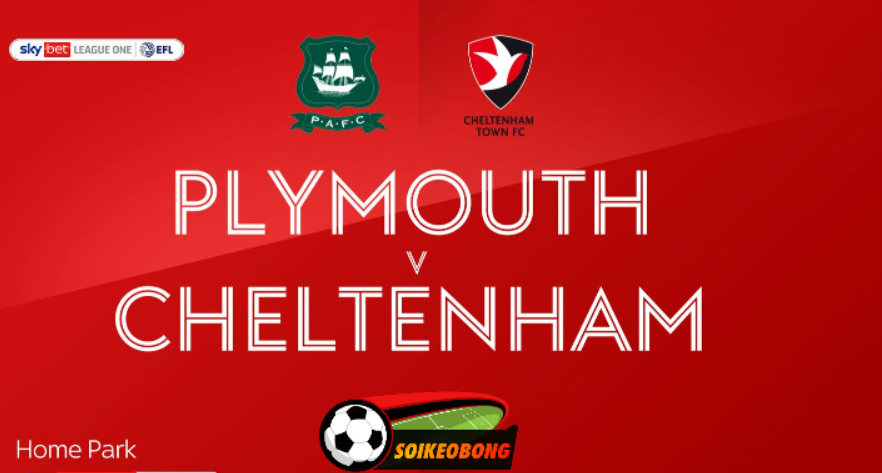 Soi kèo trực tuyến 7M trận Plymouth Argyle vs Cheltenham Town –  01h45 ngày 15/08/2024: Khẳng định vị thế