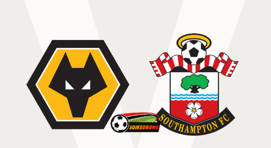 Soi kèo trực tuyến 7M trận Wolves vs Southampton –  22h00 ngày 09/11/2024: Bầy Sói khủng hoảng