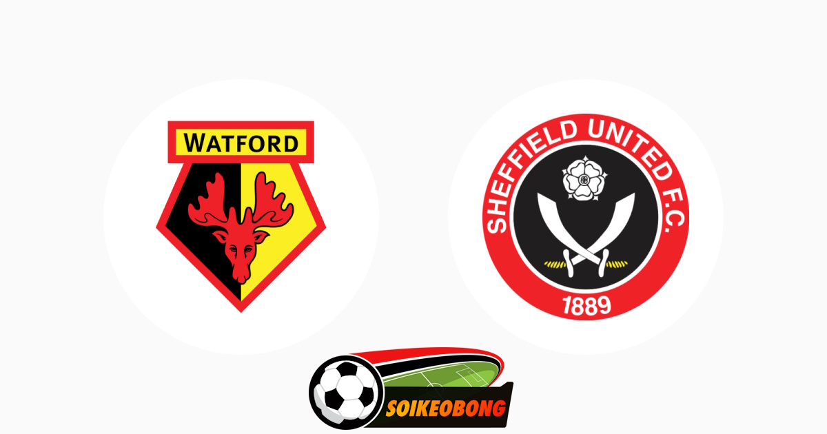 Soi kèo trực tuyến 7M trận Watford vs Sheffield United –  22h00 04/01/2025: Tiễn khách về tay trắng