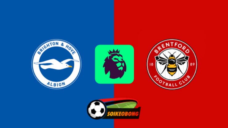 Soi kèo trực tuyến 7M trận Brighton vs Brentford –  02h30 ngày 28/12/2024: Cơn mưa bàn thắng