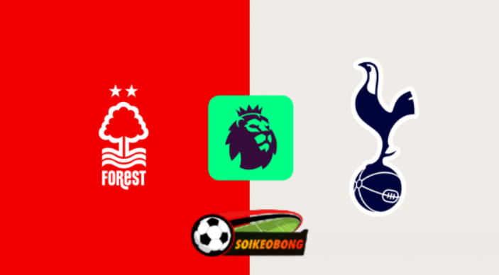 Soi kèo trực tuyến 7M trận Nottingham Forest vs Tottenham –  22h00 ngày 26/12/2024: Không chịu lếp vế