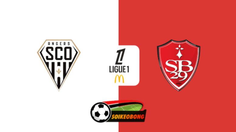 Soi kèo trực tuyến 7M trận Angers vs Stade Brestois –  21h00 ngày 05/01/2025: Vị khách trở lại