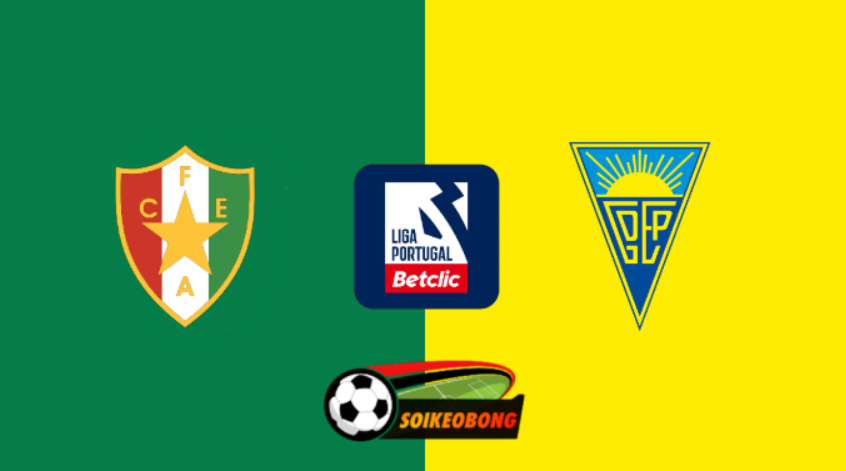 Soi kèo trực tuyến 7M trận CD Estrela vs Estoril –  03h30 ngày 06/01/2025: Sân nhà khác biệt