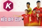 Cách đọc kèo Aff Cup để tăng cơ hội chiến thắng